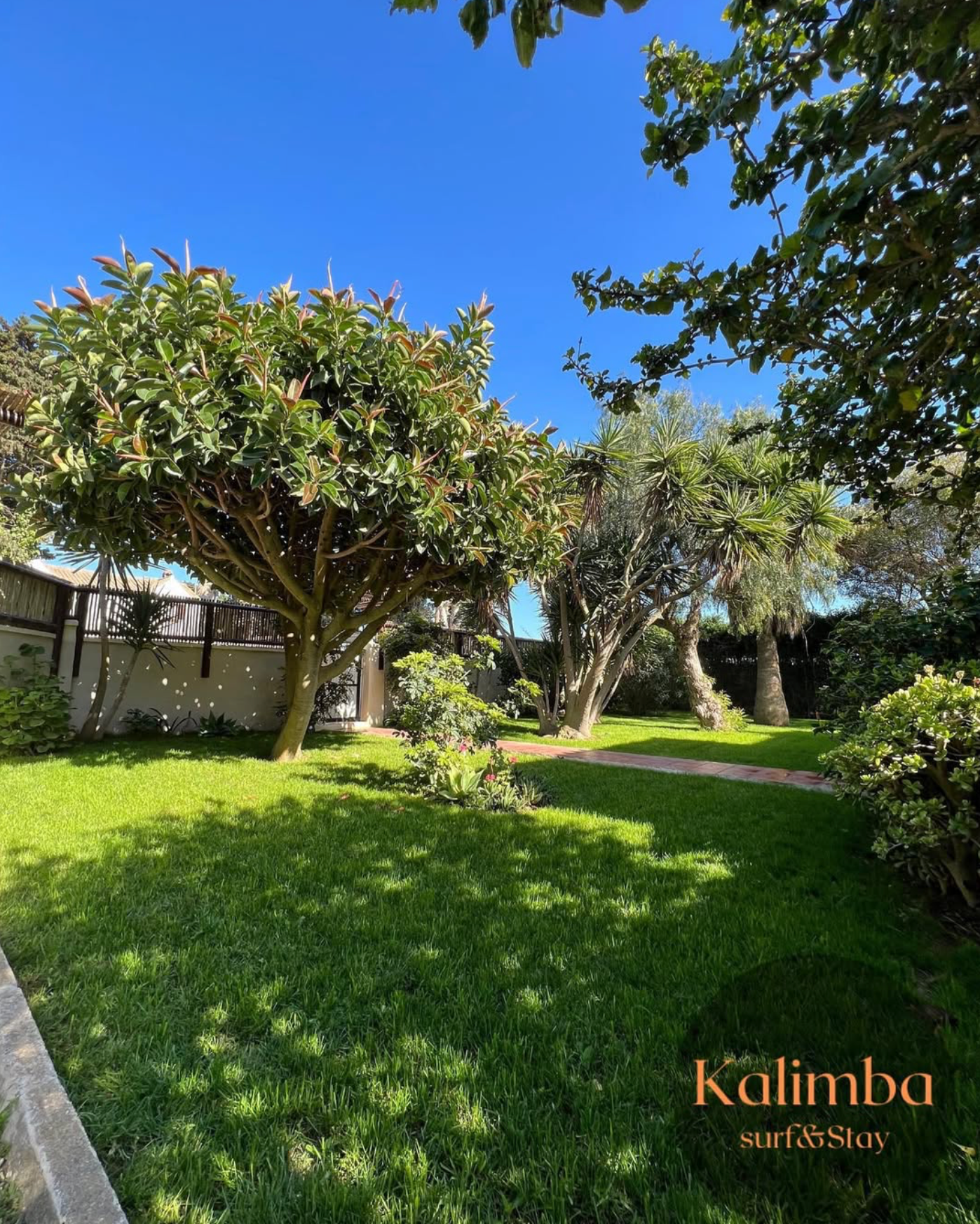 KALIMBA SURFHOUSE BOTON